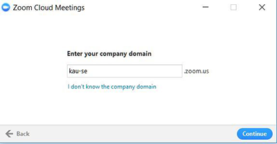 Enter your company domain