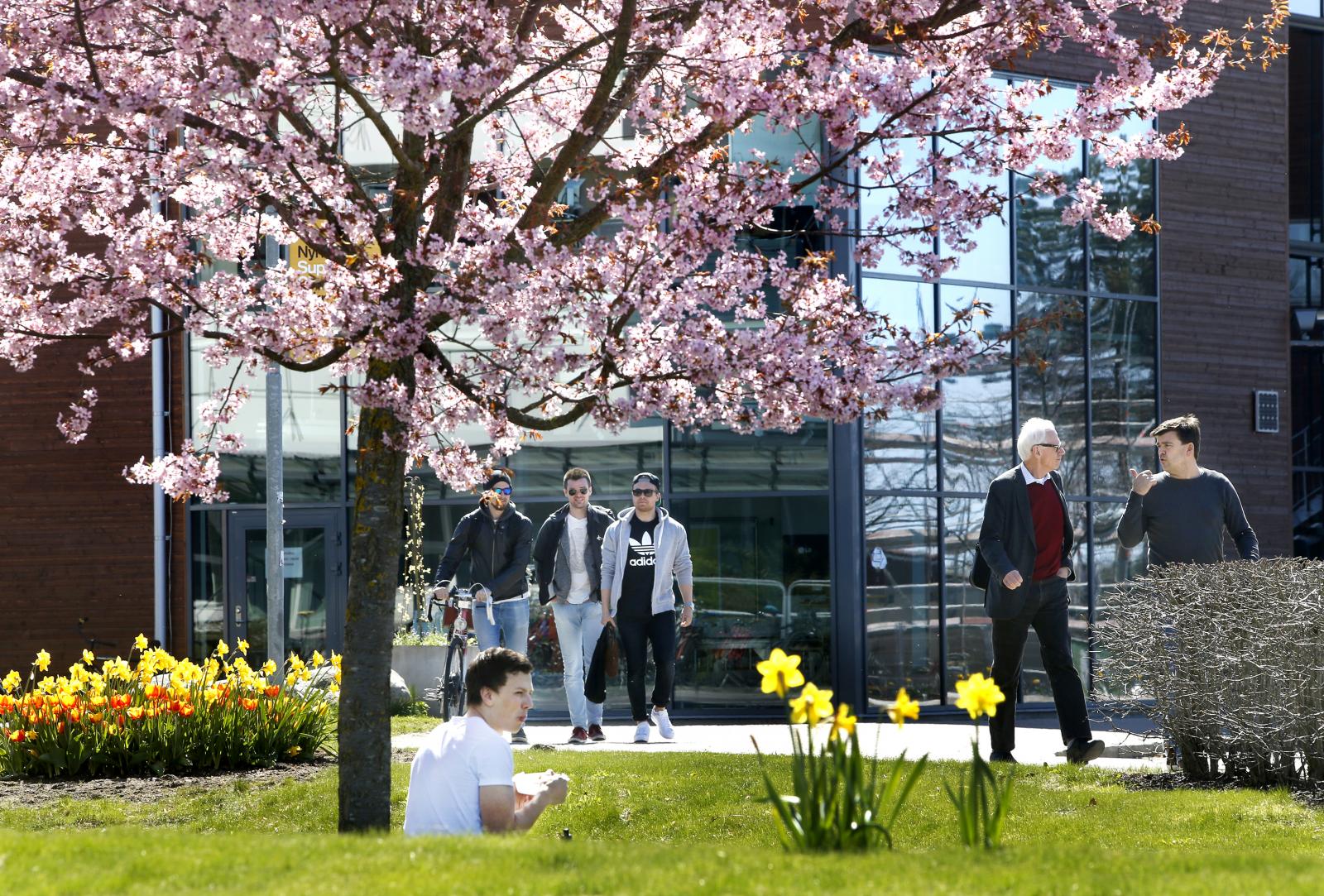 Home Karlstad University