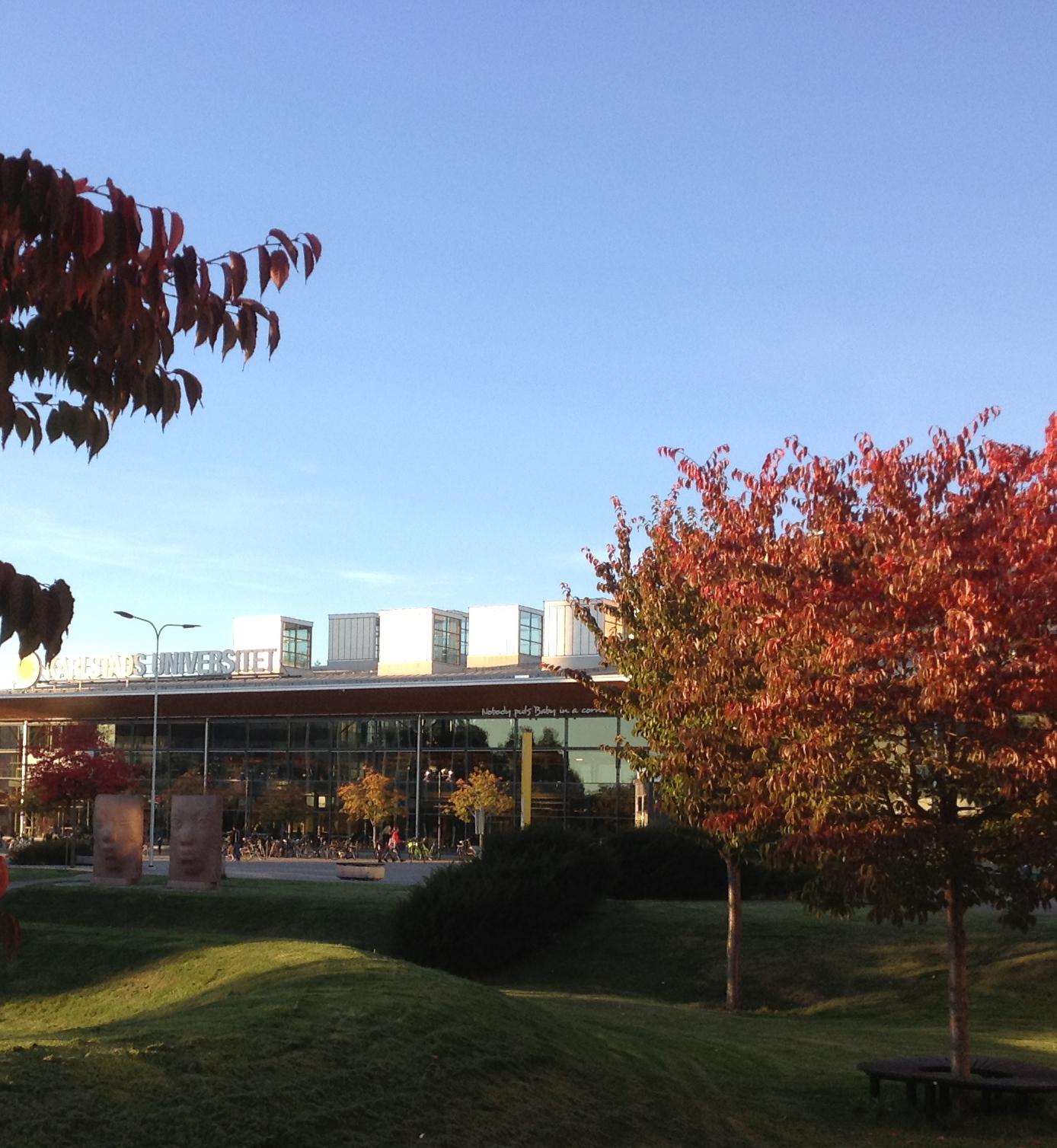 Library Karlstad University