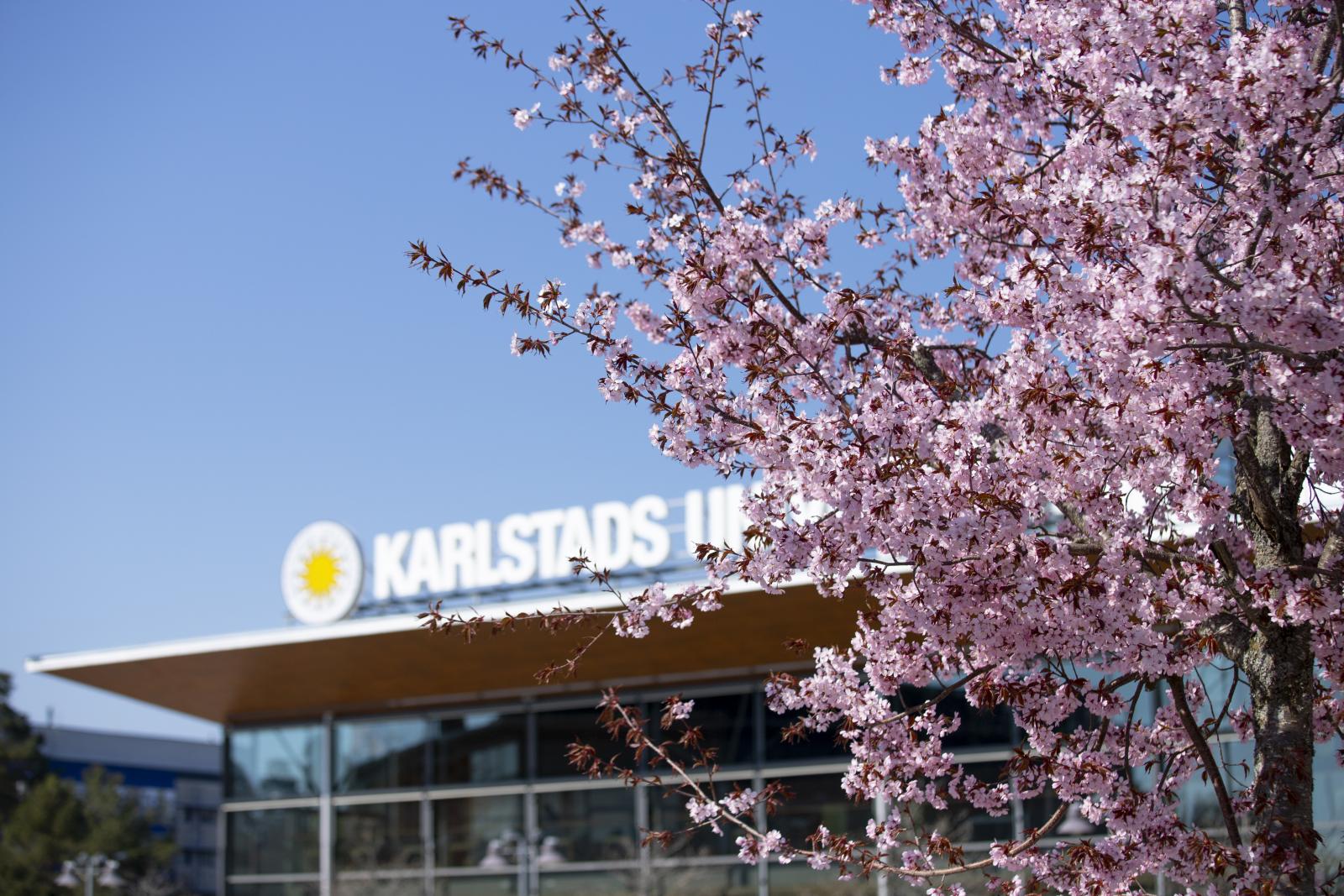 Om din anst�llning Karlstads universitet