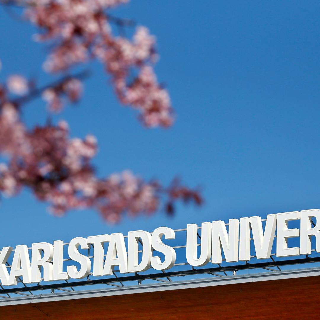 Universitets skylt med blommande körsbärsblommor i förgrunden