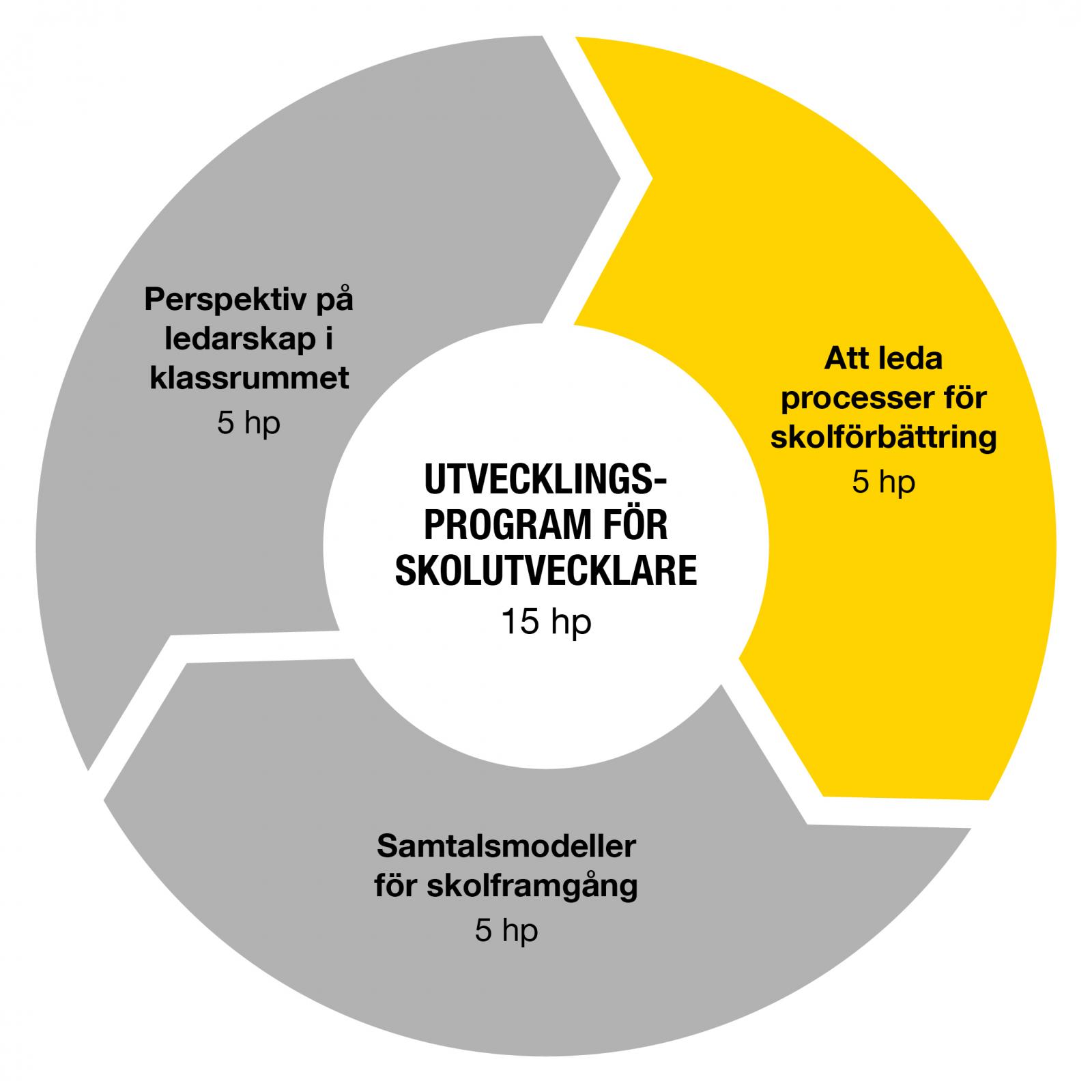 Grafisk figur med texten Att leda processer för skolförbättring