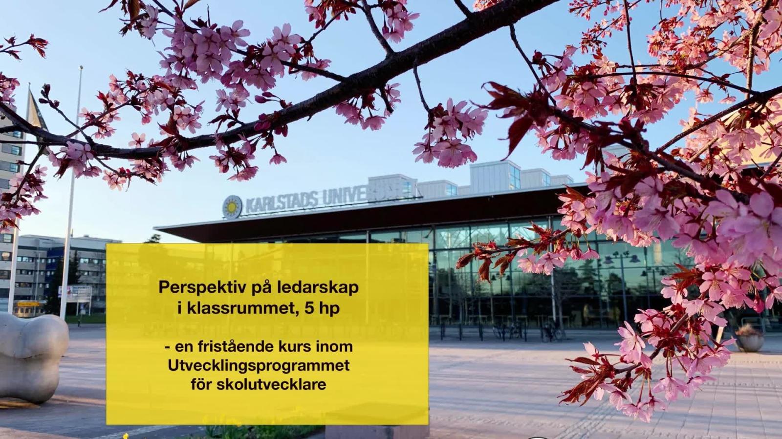 Perspektiv på ledarskap