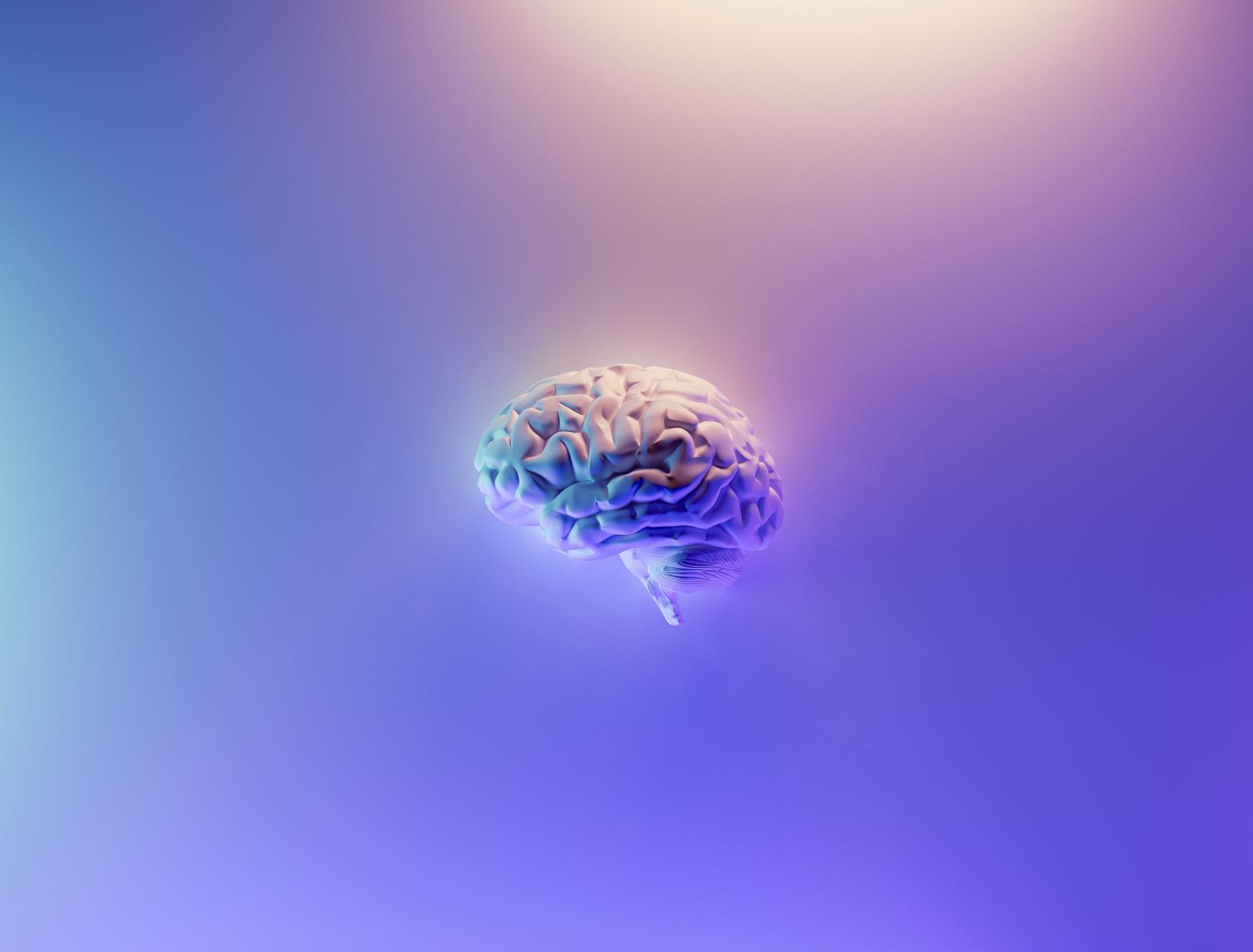 Brain in a purple background