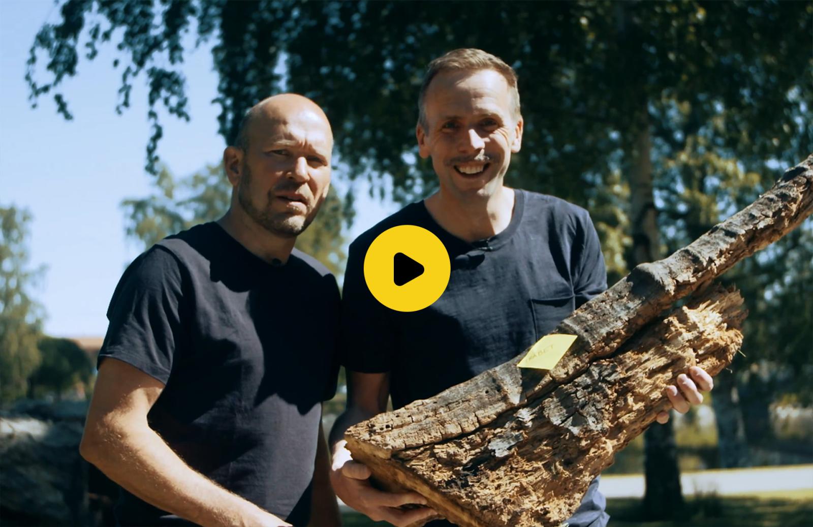 Två glada män i solen