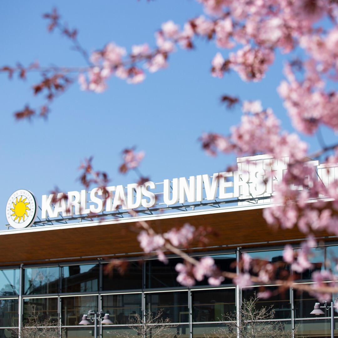 Skylten på Universitetsbibliotekets tak syns bakom körsbärsblom