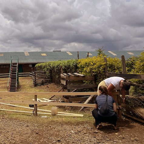 Lärarstudenterna byggde nytt staket på skolgården utanför staden Nyahururu