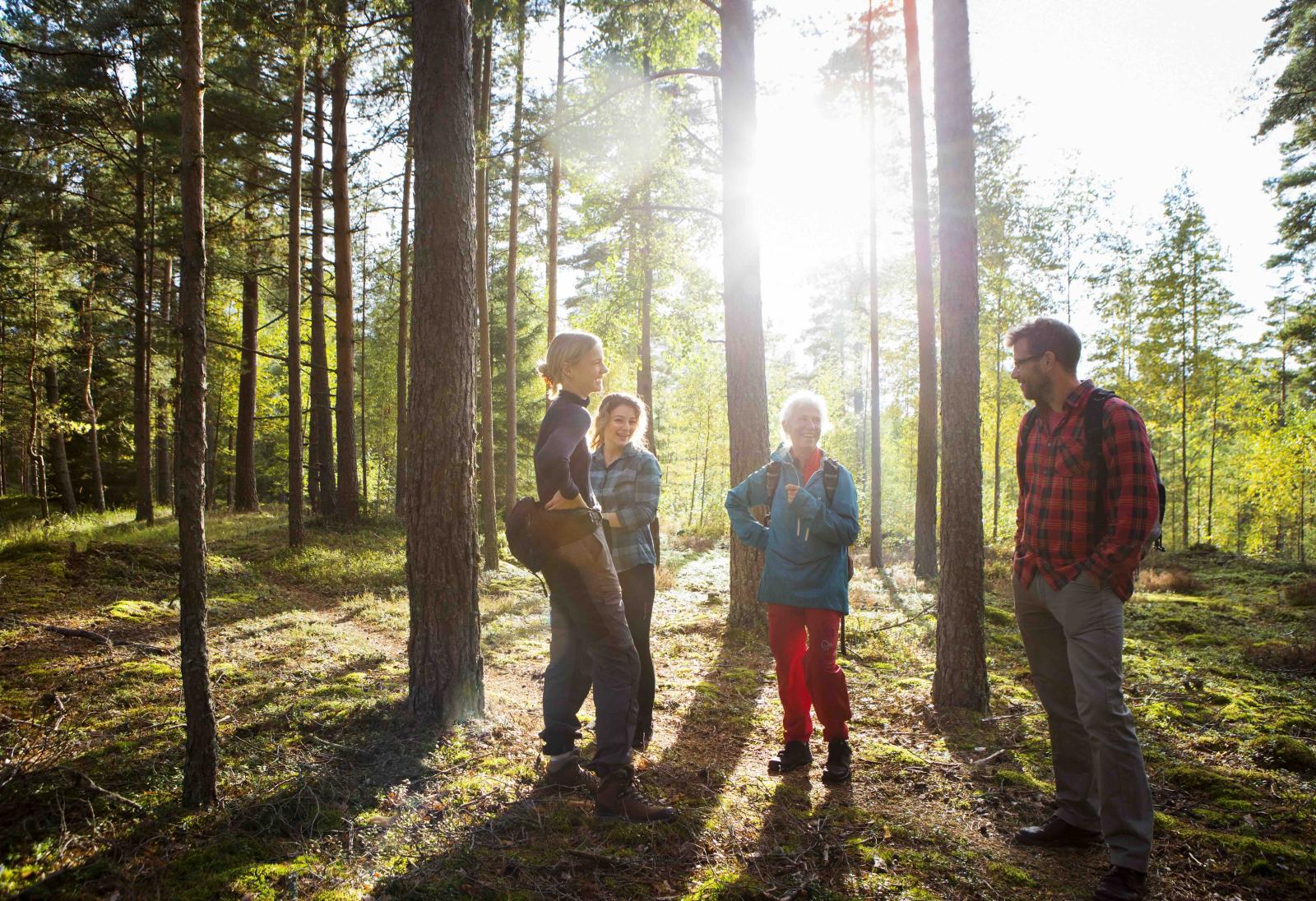 A group of people standing in the forest talking