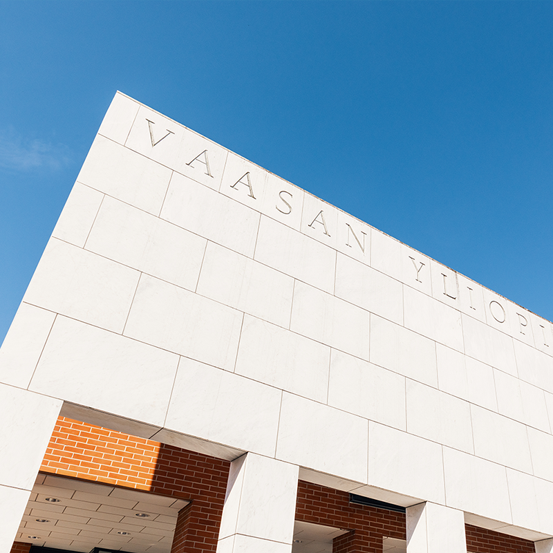 Vasa universitet