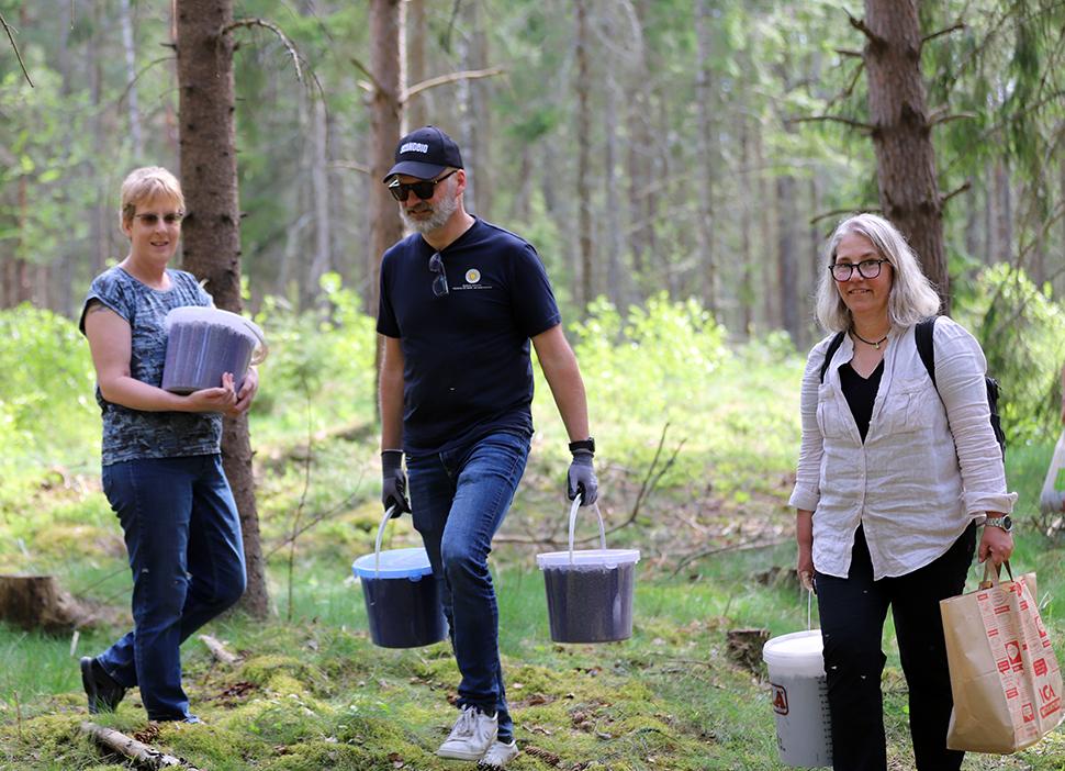 Spridning av skogsgödsel