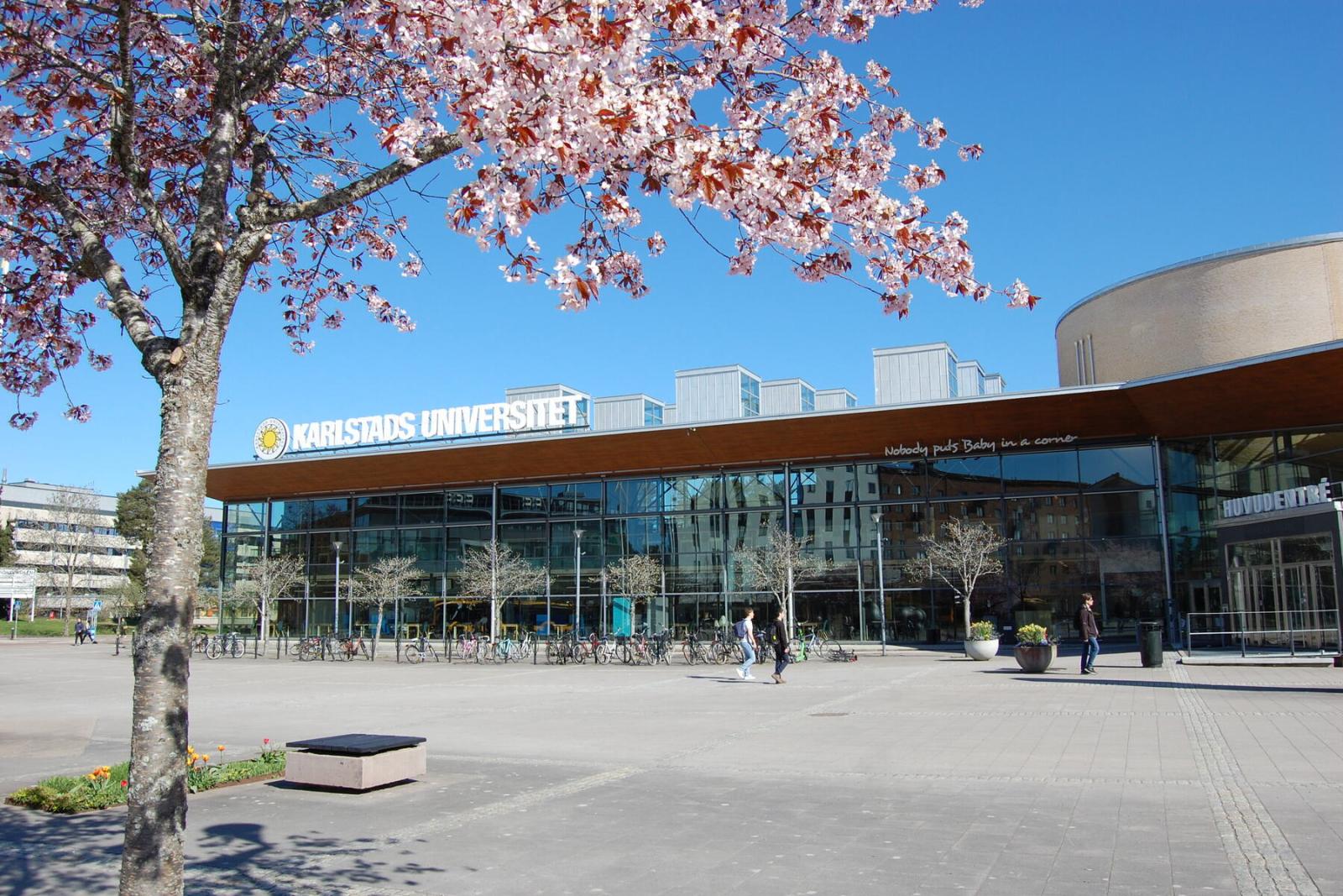 Körsbärsblom framför universitetsbiblioteket