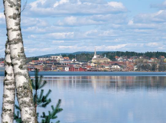 Vy över Arvika