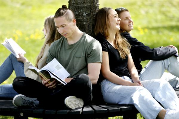 Studenter pluggar under trädet