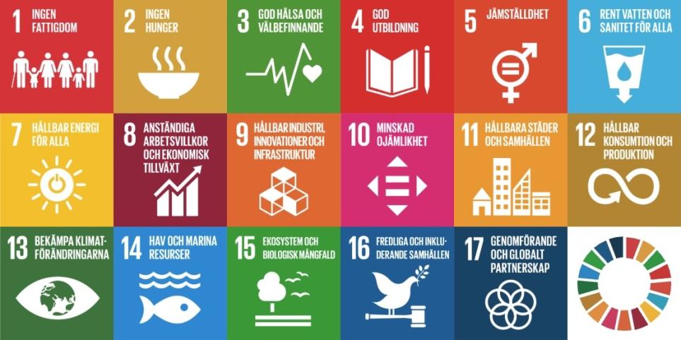 De 17 globala målen för hållbar utveckling.