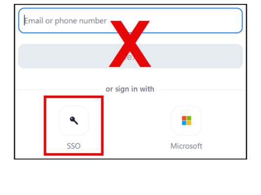 Sign in with SSO