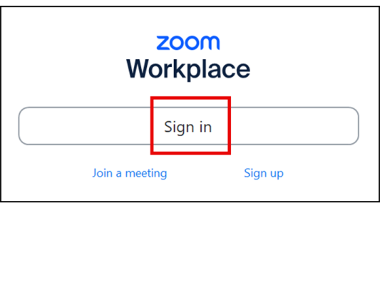 Zoom sign in