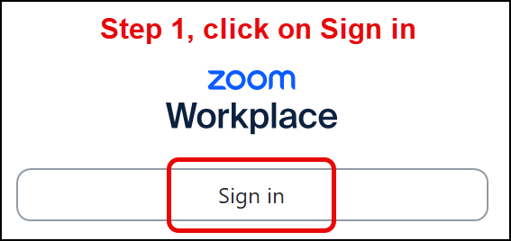 Zoom sign in