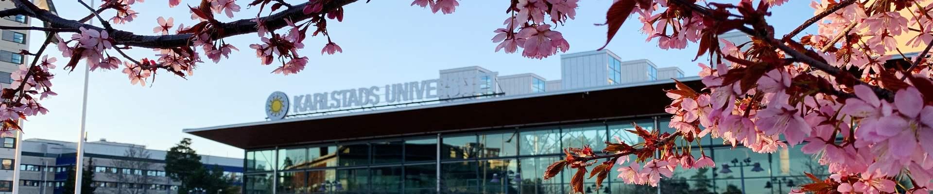 Bild på Karlstads universitet med blommande rosa träd