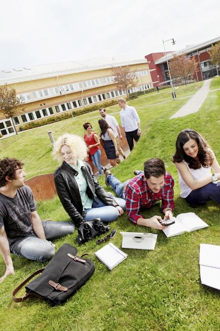 Studenter pluggar i gräset