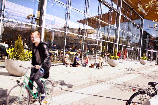 Studenter solar framför biblioteket