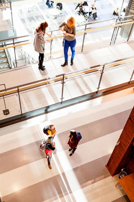 Studenter uppifrån i hus Vänern