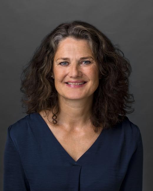 Ann Bergman, professor vid Karlstads universitet 2016
