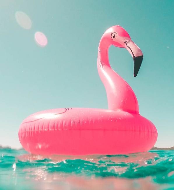 badring flamingo sommartider