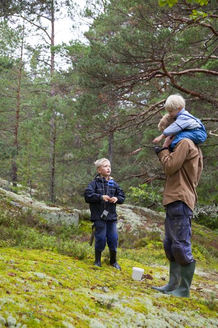 Father with two young children in the woods