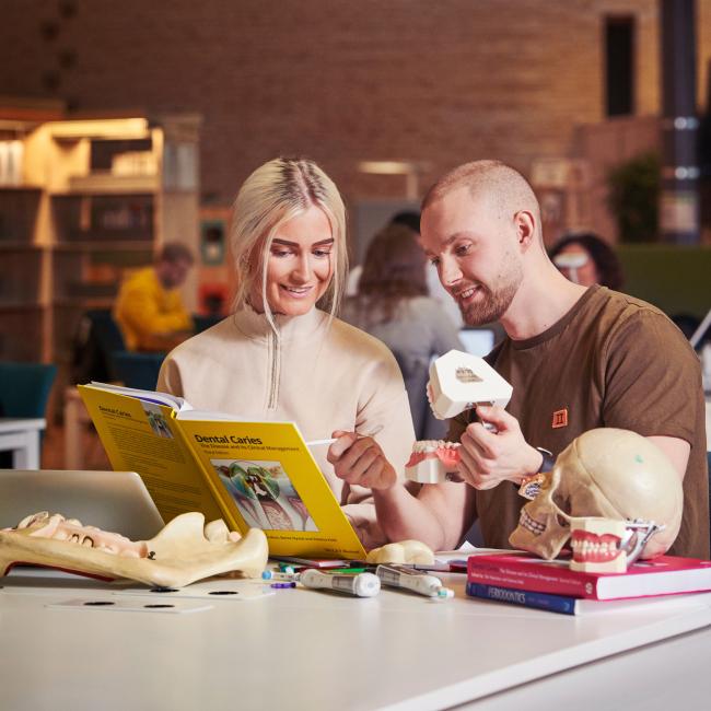 Två studenter på tandhygienistprogrammet pluggar