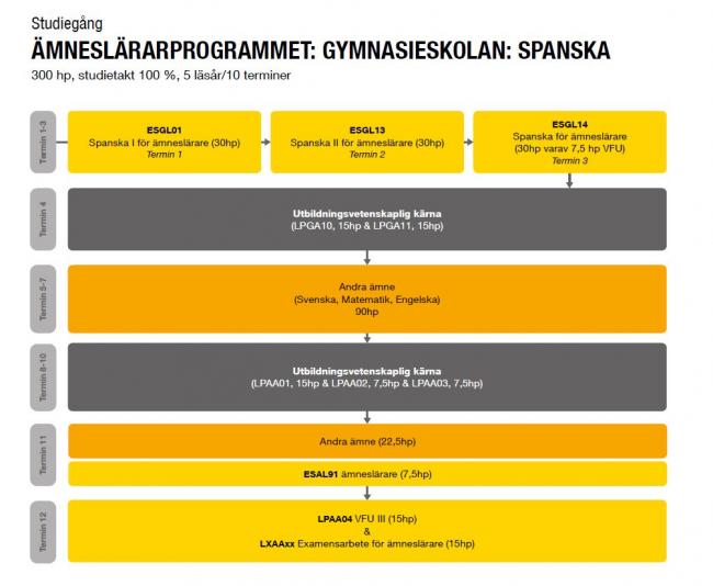 Spanska studiegång lärare