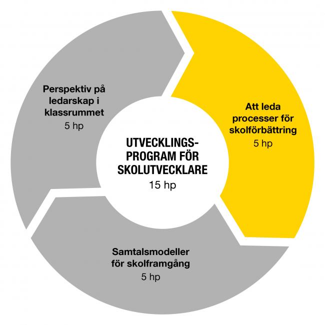Grafisk figur med texten Att leda processer för skolförbättring