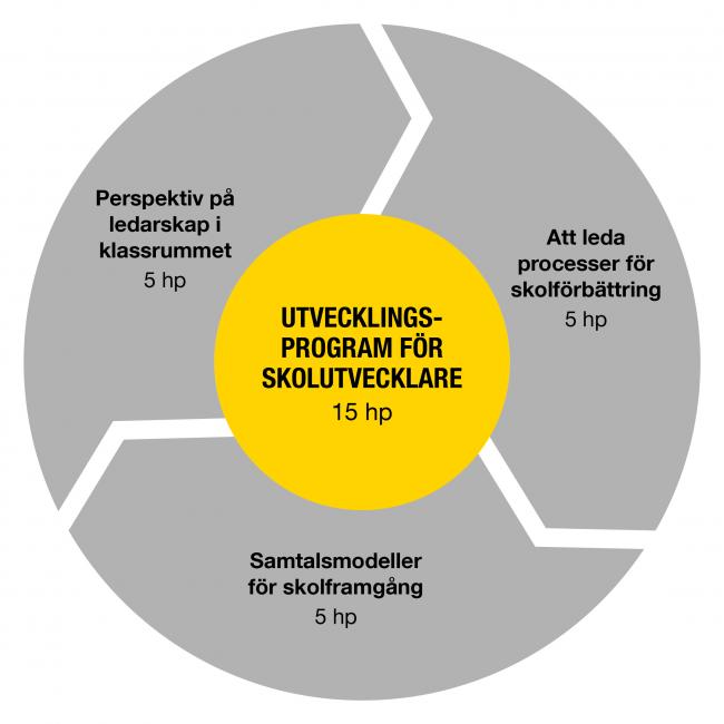 Grafisk bild över programmets kurser