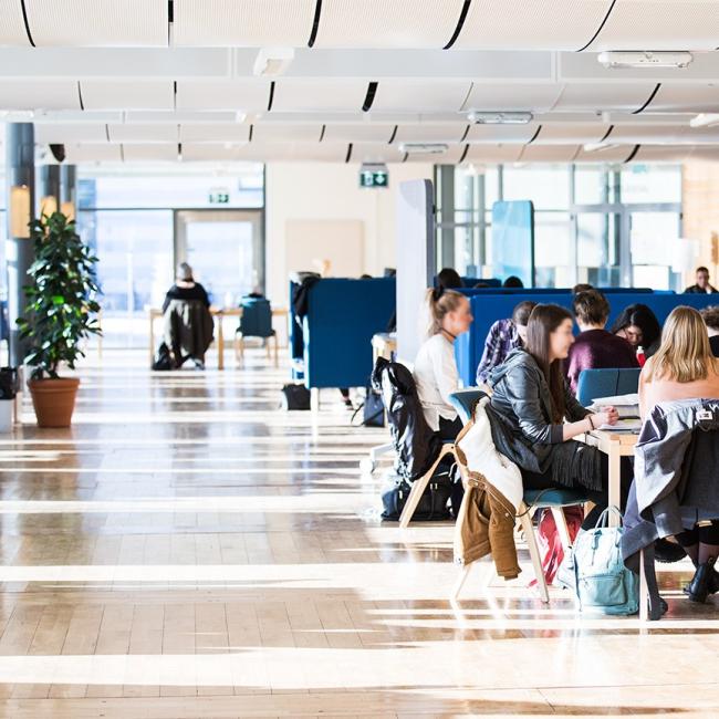 Läsesalen biblioteket