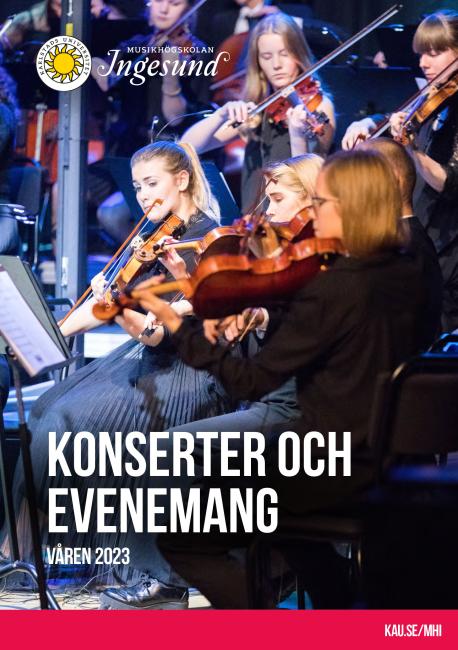 Unga kvinnor som spelar violin