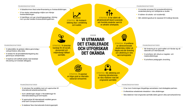 Strategi och vision 2030