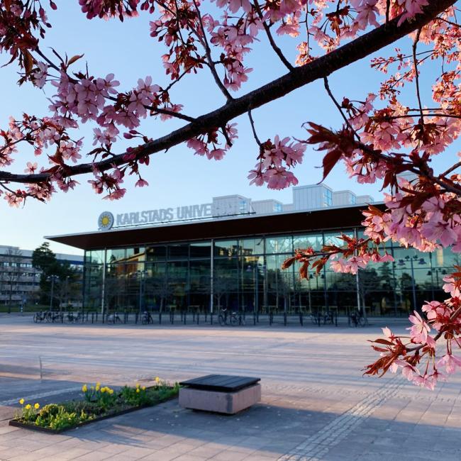 Huvudentrén med rosa blommor