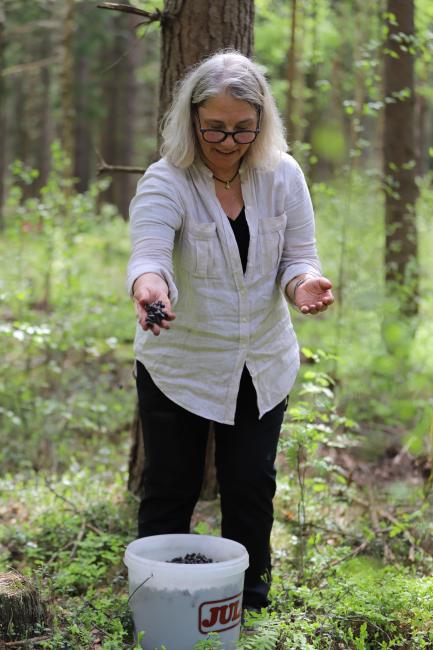 Mara Sandberg gödslar i skogen