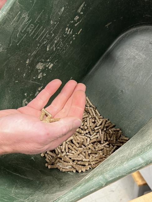 Pellets