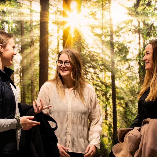 studenter vid energi och miljöprogrammet med solig skog i bakgrunden