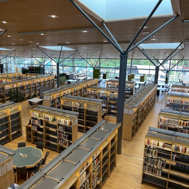 Hyllor i biblioteket