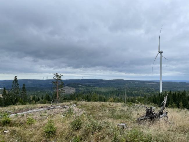 Landskapsbild med en vindkraftssnurra.