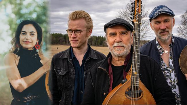foto på musikerna Liliana, Ale, Johan och Olle