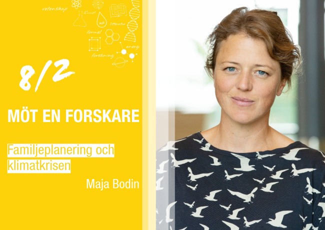 Maja Bodin