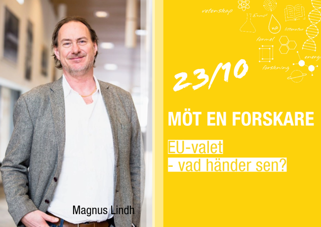 Magnus Lindh
