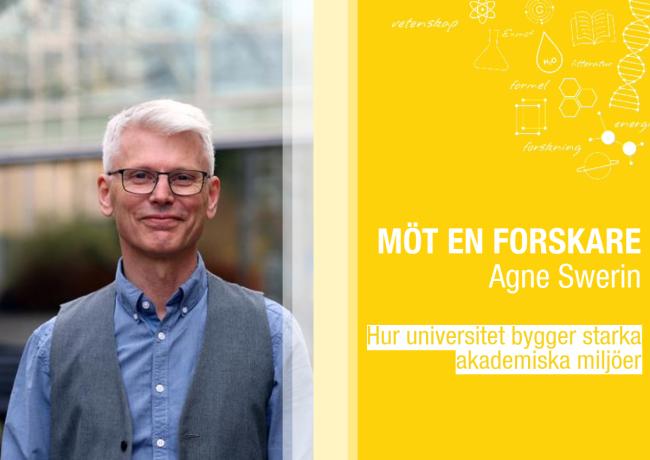 Agne Swerin
