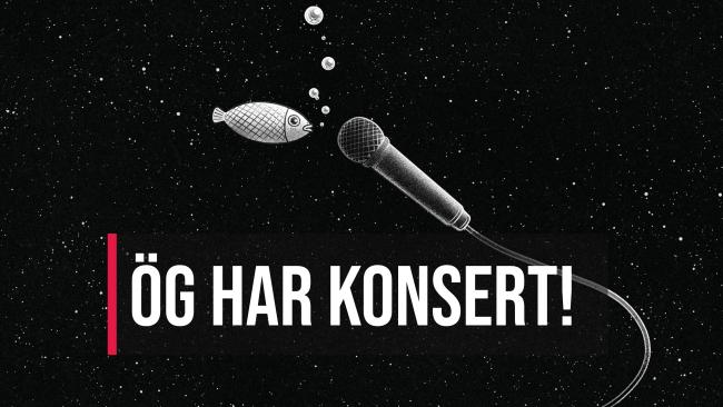bild på mikrofon