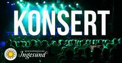 Lunchkonsert – Terjes adepter
