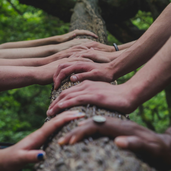 Hands on tree