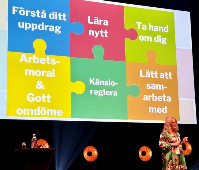 Vad betyder det att vara professionell på jobbet? Anna Tufvesson har arbetat med ledar- och medarbetarutveckling i över 20 år och hon fördjupade sig sig i ämnet.