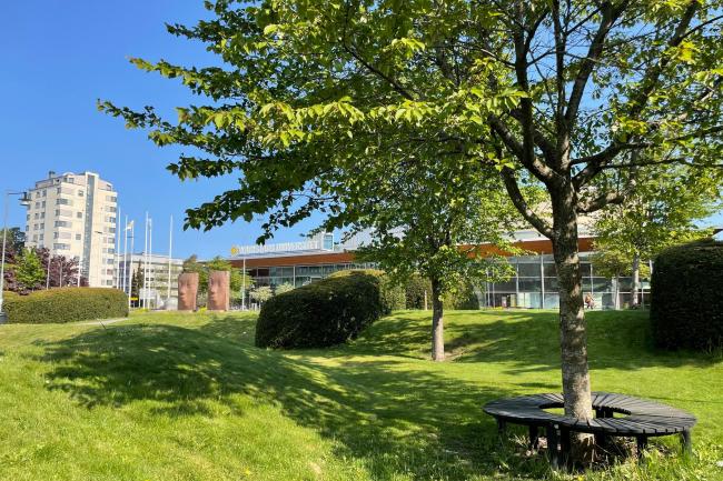 Sommarbild från Karlstads universitet